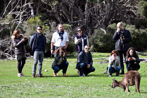 Small-Group Kangaroo Island 4WD Tour From Adelaide - Accommodation Kalgoorlie 2