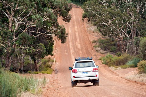 Small-Group Kangaroo Island 4WD Tour From Adelaide - Accommodation Kalgoorlie 3