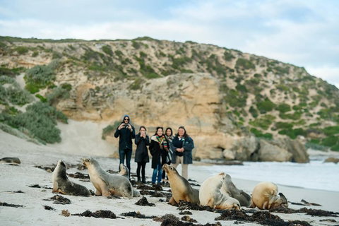 Small-Group Kangaroo Island 4WD Tour From Adelaide - Accommodation Kalgoorlie 4