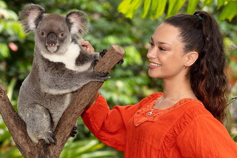Kuranda Wildlife Experience Three Attraction Pass - Accommodation Kalgoorlie 4