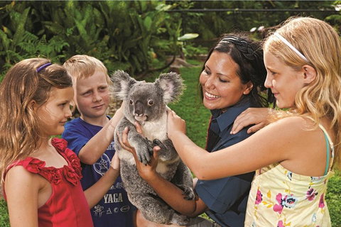 Kuranda Koala Gardens General Entry Ticket - Accommodation Kalgoorlie 0
