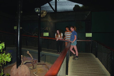 Kuranda Koala Gardens General Entry Ticket - Accommodation Kalgoorlie 2