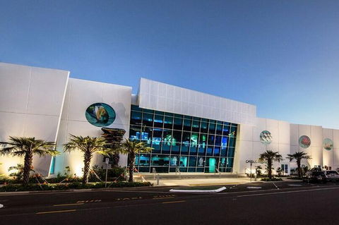 Cairns Aquarium Admission Ticket - Accommodation Kalgoorlie 4