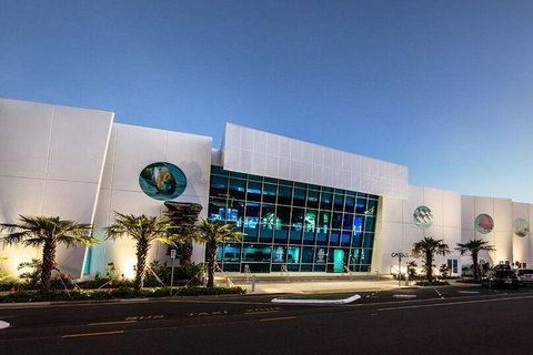 Cairns Aquarium Family Ticket - Accommodation Kalgoorlie 2