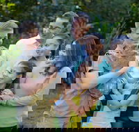 Small-Group Australia Zoo Day Trip from Brisbane - Accommodation Kalgoorlie