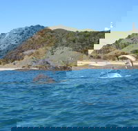 Kayaking with Dolphins in Byron Bay Guided Tour - Accommodation Kalgoorlie