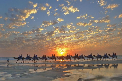 Broome City Sightseeing Tour With Optional Camel Ride - Accommodation Kalgoorlie 1