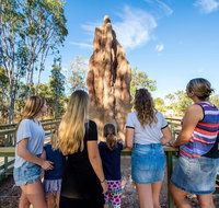 Litchfield National Park Waterfalls and Wildlife Tour from Darwin - Accommodation Kalgoorlie