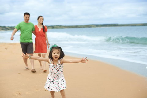 Phillip Island Penguin Parade Day Trip With Koala Conservation Reserve Visit - Accommodation Kalgoorlie 5