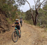 Mount Lofty Descent Bike Tour from Adelaide - Accommodation Kalgoorlie
