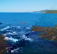 Julian Rocks Byron Bay Cruise - Accommodation Kalgoorlie