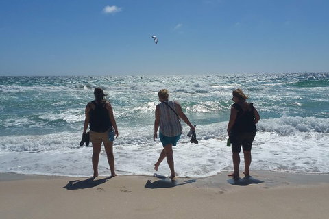 Very Best Of Perth Tour - Wildlife Park & City Highlights Tour - Accommodation Kalgoorlie 5