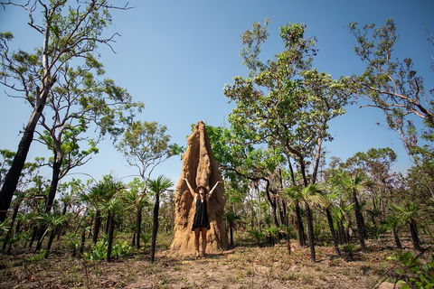 Litchfield National Park - Top End Day Tour From Darwin - Accommodation Kalgoorlie 5