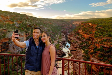 7-Day Exmouth Explorer Via Pinnacles Monkey Mia Ningaloo Reef Returning To Perth - Accommodation Kalgoorlie 5