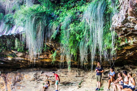 Sunset Blue Mountains Wilderness & Wildlife Tour Without The Crowds - Accommodation Kalgoorlie 1