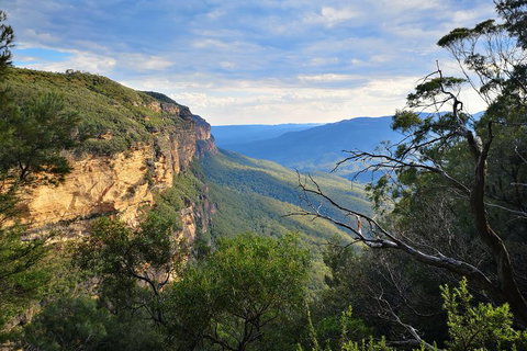 Sunset Blue Mountains Wilderness & Wildlife Tour Without The Crowds - Accommodation Kalgoorlie 2