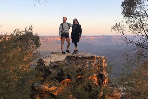 Sunset Blue Mountains Wilderness & Wildlife Tour Without The Crowds - Accommodation Kalgoorlie 3