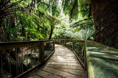 Melbourne To Adelaide South East Coast 3 Day Overland Tour - Accommodation Kalgoorlie 1