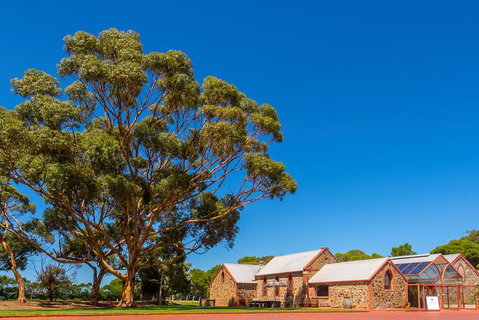McLaren Vale And Glenelg Wine Tasting And Sightseeing (Half-day Afternoon) - Accommodation Kalgoorlie 5