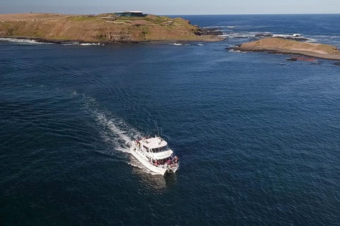 Phillip Island Seal-Watching Cruise - Accommodation Kalgoorlie 1