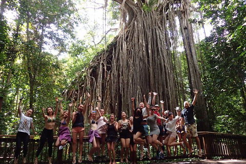 Atherton Tablelands Waterfalls Tour From Cairns - Accommodation Kalgoorlie 5