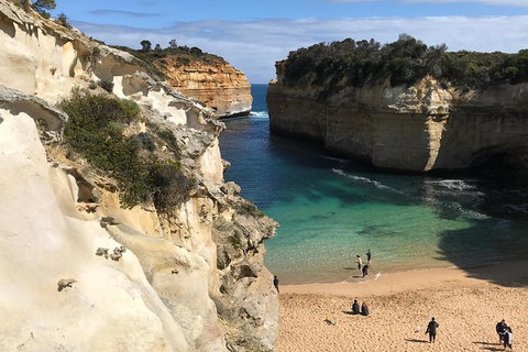 Great Ocean Road Reverse Itinerary PREMIUM Tour - Accommodation Kalgoorlie 3