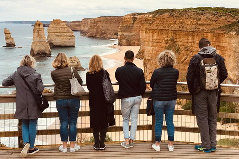 Great Ocean Road Reverse Itinerary PREMIUM Tour - Accommodation Kalgoorlie 5