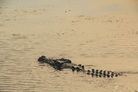 Yellow Water Cruise - Kakadu - Accommodation Kalgoorlie 2