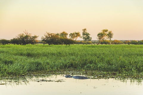 Yellow Water Cruise - Kakadu - Accommodation Kalgoorlie 3