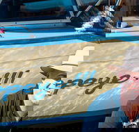 Torrens River Cruise in Adelaide - Accommodation Kalgoorlie