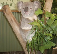Blue Mountains Private Full-Day Tour from Sydney with Cruise - Accommodation Kalgoorlie