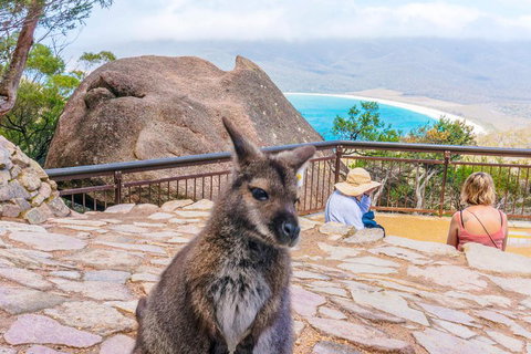 Wineglass Bay & Freycinet NP Full Day Tour From Hobart Via Richmond Village - Accommodation Kalgoorlie 0