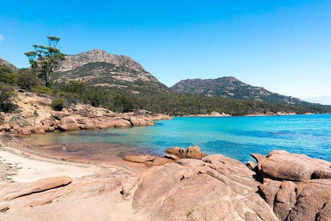 Wineglass Bay & Freycinet NP Full Day Tour From Hobart Via Richmond Village - Accommodation Kalgoorlie 5
