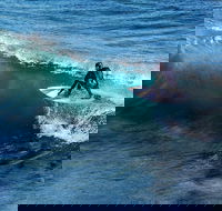 Great Ocean Road Highlights Tour - 2 Days 1 Night - Accommodation Kalgoorlie