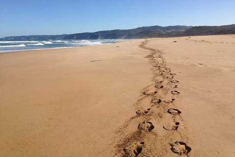 Private Great Ocean Road Full Day Tour - 1 Day Tour - Accommodation Kalgoorlie 5