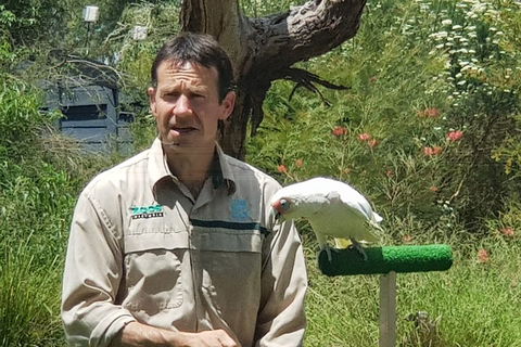 Healesville Sanctuary And Rayners Orchard Tour From Melbourne - Accommodation Kalgoorlie 0