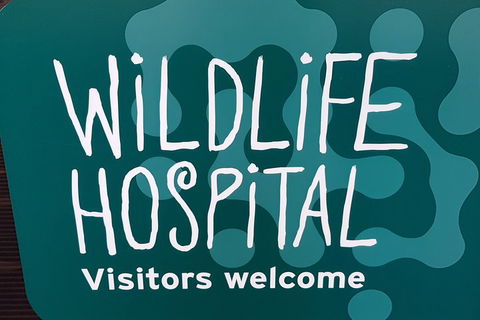 Healesville Sanctuary And Rayners Orchard Tour From Melbourne - Accommodation Kalgoorlie 1