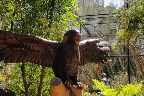 Healesville Sanctuary And Rayners Orchard Tour From Melbourne - Accommodation Kalgoorlie 2