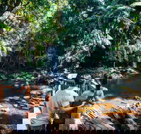 Aquaduck  Your choice of Gold Coast Rainforest Tour - Accommodation Kalgoorlie