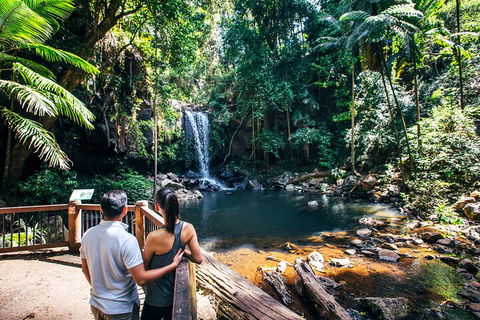 Aquaduck & Your Choice Of Gold Coast Rainforest Tour - Accommodation Kalgoorlie 0