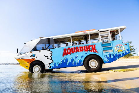 Aquaduck & Your Choice Of Gold Coast Rainforest Tour - Accommodation Kalgoorlie 3
