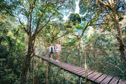 Aquaduck & Your Choice Of Gold Coast Rainforest Tour - Accommodation Kalgoorlie 4