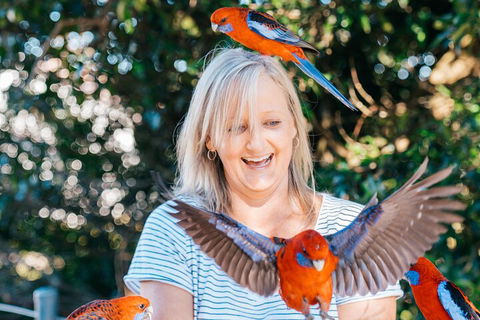 Aquaduck & Your Choice Of Gold Coast Rainforest Tour - Accommodation Kalgoorlie 5