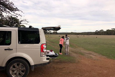 Kangaroo Island 4WD Tour - Flinders Chase - Accommodation Kalgoorlie 3