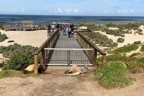 Kangaroo Island 4WD Tour - Best Of KI - Accommodation Kalgoorlie 2