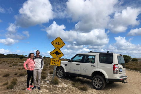 Kangaroo Island 4WD Tour - Best Of KI - Accommodation Kalgoorlie 5