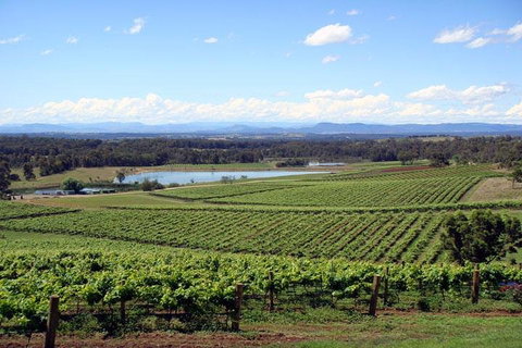 Private Hunter Valley Wine-Tasting Day Tour From Sydney - Accommodation Kalgoorlie 0