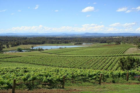 Private Hunter Valley Wine-Tasting Day Tour From Sydney - Accommodation Kalgoorlie 1