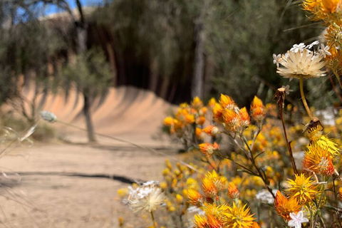 The Big Wave Rock (Private) Day Tour - Accommodation Kalgoorlie 3