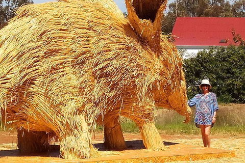 The Big Wave Rock (Private) Day Tour - Accommodation Kalgoorlie 5